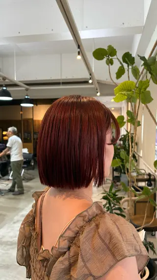 カラー くるみ avedaのヘアスタイル