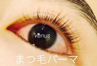 マツエク・マツパ eyelash catwinkのマツエク・マツパデザイン