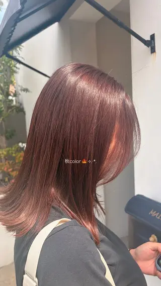 ミディアム bisou kumiのヘアスタイル