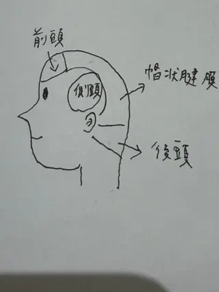 カミジマ 癒のヘアスタイル