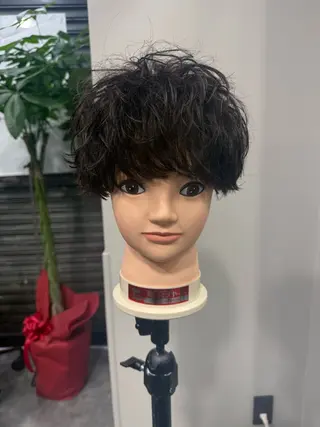 パーマ メンズ 本田 有里のヘアスタイル
