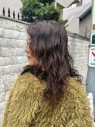 ミディアム パーマ メンズ／顔周りカ ット中目黒akaneのヘアスタイル