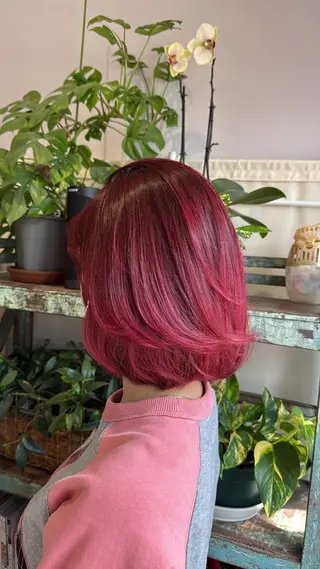 ミディアム カラー Sakura .のヘアスタイル