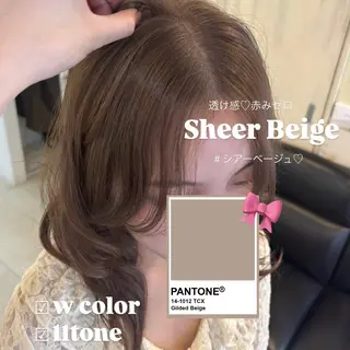セミロング カラー レイヤーカット/ダブ ルカラー/フウカ🤍のヘアスタイル