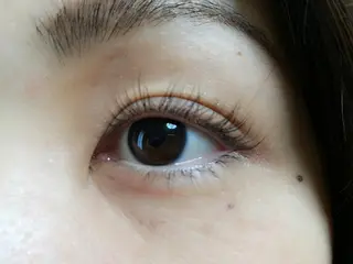 マツエク・マツパ 大人の為のまつげ眉毛 salonポンルームの眉毛・アイブロウイメージ