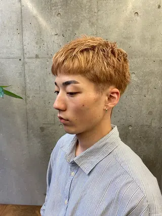 ショート カラー ✨️艶ハイトーン特化 ✨️佐藤望のヘアスタイル