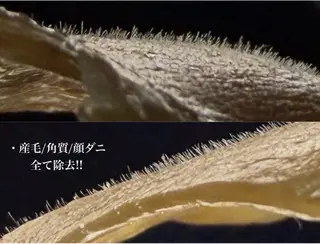 まつ毛/眉毛/WAX 🌱半個室サロン結のマツエク・マツパデザイン