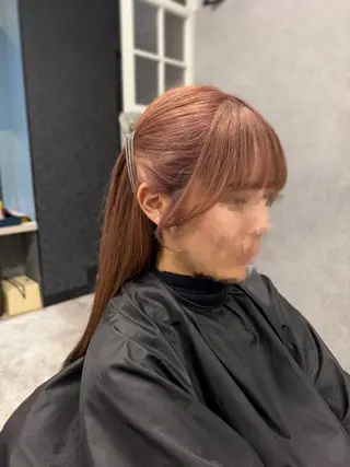 加藤 あおいのヘアスタイル