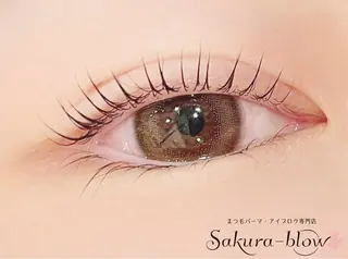マツエク・マツパ Sakurablow 山田のマツエク・マツパデザイン