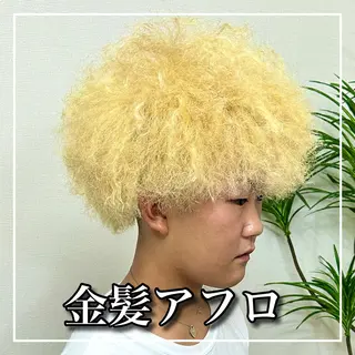 ショート カラー パーマ メンズ 和田  魁【トップ スタイリスト】のヘアスタイル