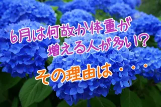 ショート カラー パーマ ヘアアレンジ メンズ キッズ ネイル マツエク・マツパ 痩身&ボディ 結果出し🌟丹野のエステ・リラクイメージ
