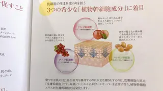 宜野湾美肌脱毛fuu okinawaタイラのエステ・リラクイメージ