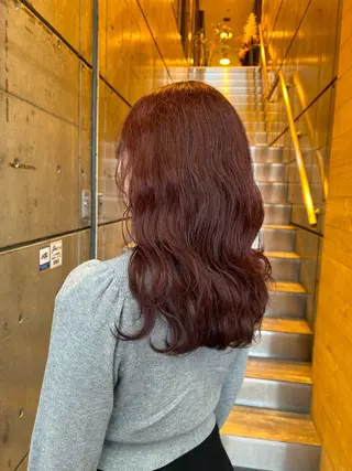 セミロング カラー yoro /ミホのヘアスタイル