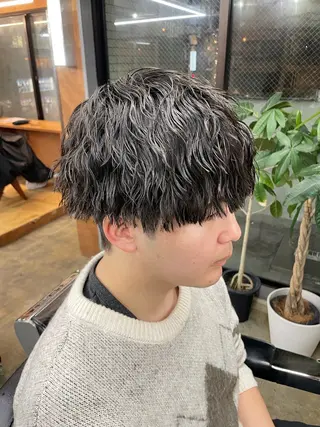 ショート カラー パーマ ヘアアレンジ メンズ 亀井隆汰/メンズ専門 パーマ/フェード可のヘアスタイル