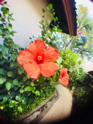 Lana moana spa🌺のエステ・リラクイメージ