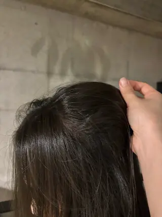 ロング カラー ANY / Noaのヘアスタイル