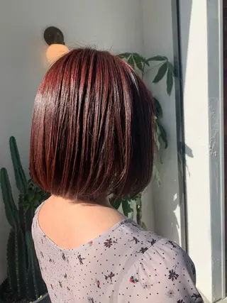 ショート カラー ヘアアレンジ REONA🪽✨薬院 レイヤーカット🫧のヘアスタイル