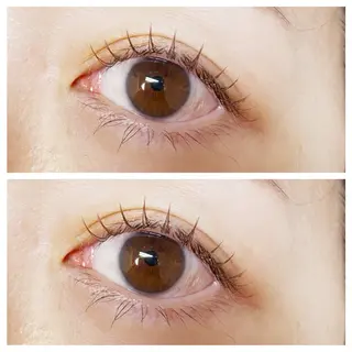 マツエク・マツパ plume eyelashのマツエク・マツパデザイン