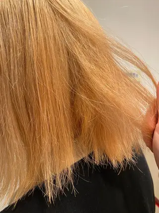 カラー ｟羽エクステ｠ スズキのヘアスタイル