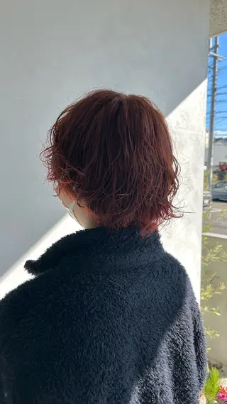 ショート カラー ハイトーン/艶髪/ 暗髪/韓国/sanaのヘアスタイル