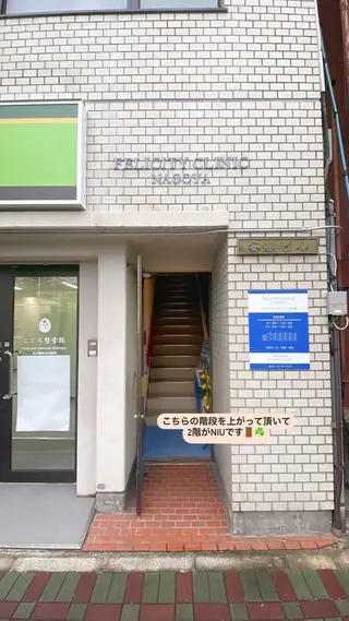 niu⟢ Maiのマツエク・マツパデザイン