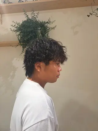 パーマ メンズ カットパーマ/ メンズ/ココミ🧚のヘアスタイル