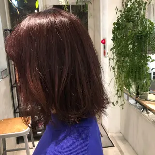 ミディアム カラー 白髪ぼかし/ショート /ミニボブだいじのヘアスタイル