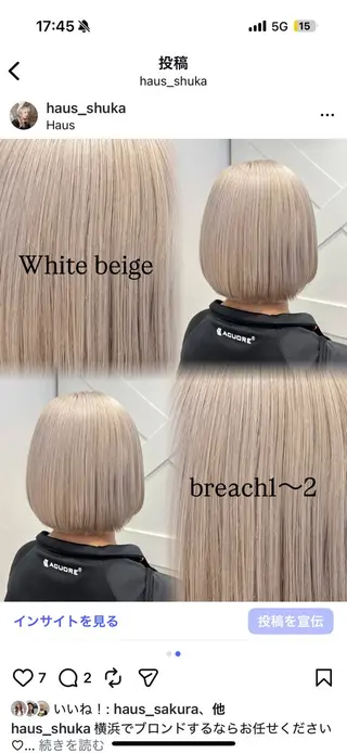 ロング カラー ハイトーンカラー シールエクステのヘアスタイル