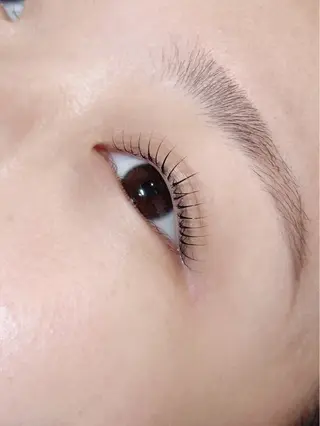 マツエク・マツパ TOP BROW 葵衣のマツエク・マツパデザイン