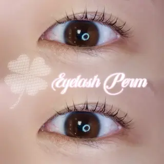 マツエク・マツパ 'olulapule 愛絵のマツエク・マツパデザイン