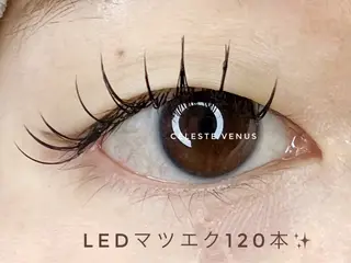マツエク・マツパ 🧸Celeste Venusのマツエク・マツパデザイン