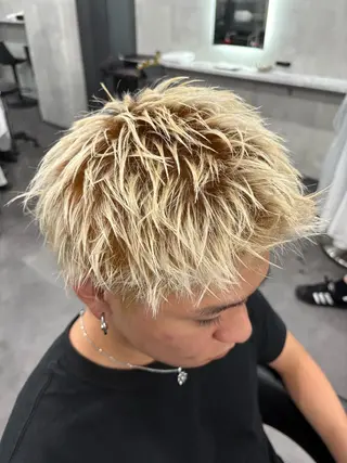 ショート メンズカット ブリー チリタッチ、マッシュのヘアスタイル