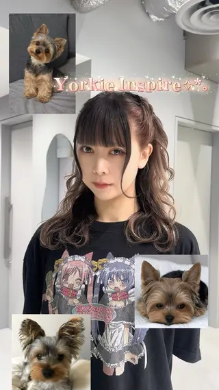 ミディアム カラー 新宿レイヤーカット (火)吉祥寺🎀リサのヘアスタイル