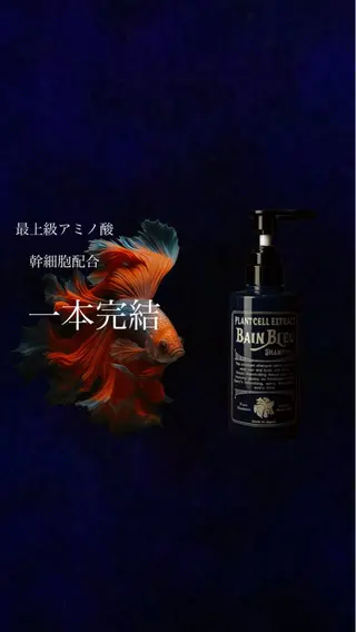 和田 圭尉のヘアスタイル