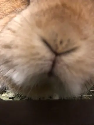 ❤️予約殺到❤️mi オールハンド痩身専門のエステ・リラクイメージ