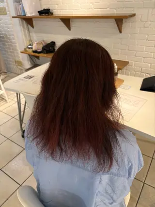 セミロング カラー 🩵り ん🦋のヘアスタイル