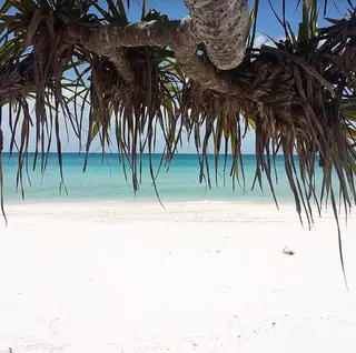 𝐘𝐎𝐒𝐇𝐈 𝐌𝐈🌞🏝のマツエク・マツパデザイン