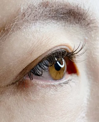 マツエク・マツパ eyelash salon懐のマツエク・マツパデザイン