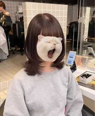 セミロング 🖤透明感カラー| 艶髪|レイヤーカットのヘアスタイル
