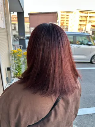 ミディアム カラー 明 (めい)のヘアスタイル