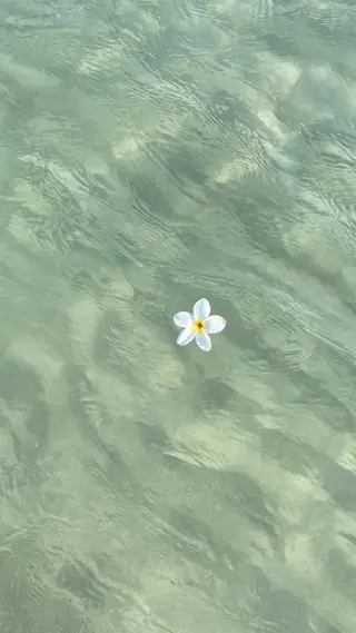 マツエク・マツパ ひなの 🌼のマツエク・マツパデザイン