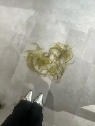 ショート カラー 多系統似合わせ/ tsuburaのヘアスタイル