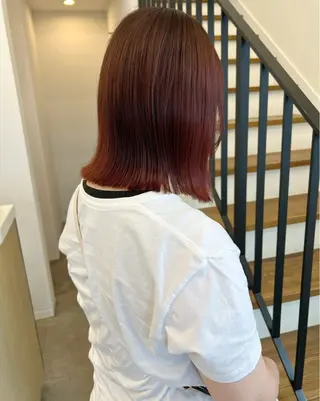 ミディアム 本澤 朋香のヘアスタイル