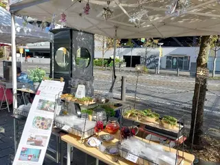 エンダモロジー専門店 HERBSとやま店長のエステ・リラクイメージ