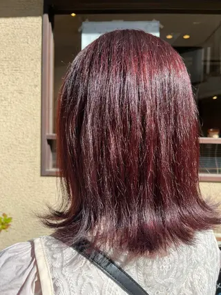 ミディアム 疋田(ひきた)真由 🐶東京/都立大学のヘアスタイル