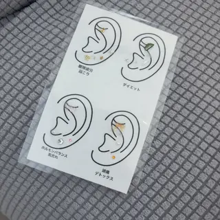 Vie  Ange erikaのマツエク・マツパデザイン