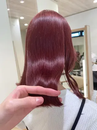 ミディアム カラー ブロンド/ミックス カラー三毛猫Kaiのヘアスタイル