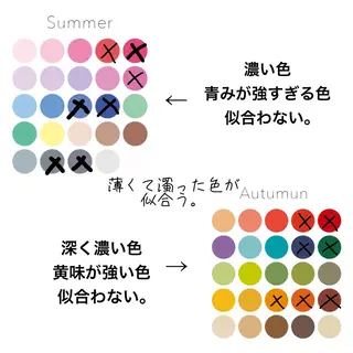 shistyle ミポTのその他イメージ