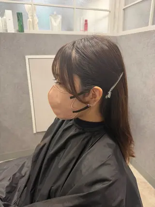 加藤 あおいのヘアスタイル