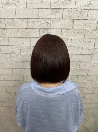 カラー カラーモデル 🌈SYOU🌈のヘアスタイル